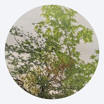 2 | Hereinspaziert: Japan-Liebe