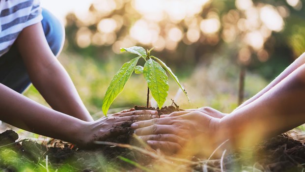 Plädoyer für eine vieldimensionale Sicherheitsarchitektur