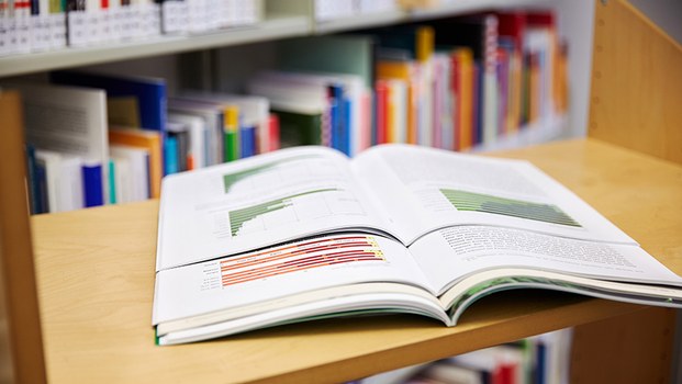 Open Access für die Erziehungswissenschaft konsequent umgesetzt – Plattform peDOCS erhält DINI-Zertifikat